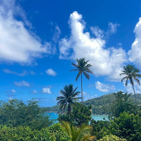 Happy Nest Dominica Hotel Marigot Exterior photo