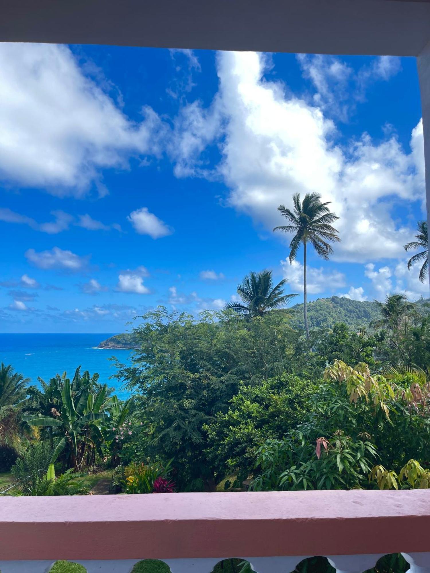 Happy Nest Dominica Hotel Marigot Exterior photo