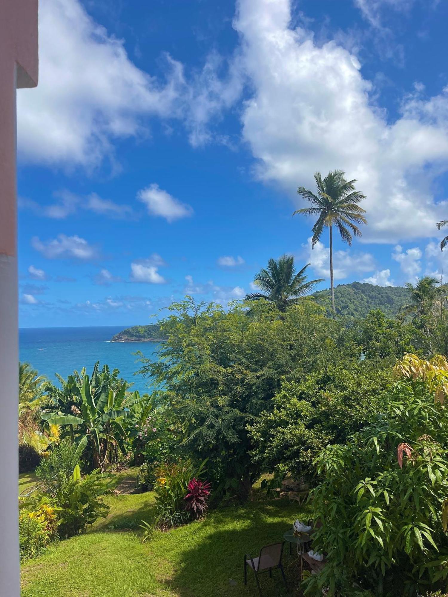 Happy Nest Dominica Hotel Marigot Exterior photo